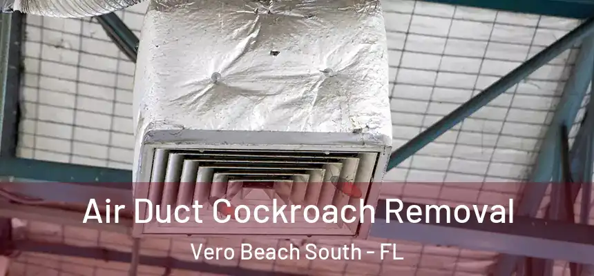 Air Duct Cockroach Removal Vero Beach South - FL