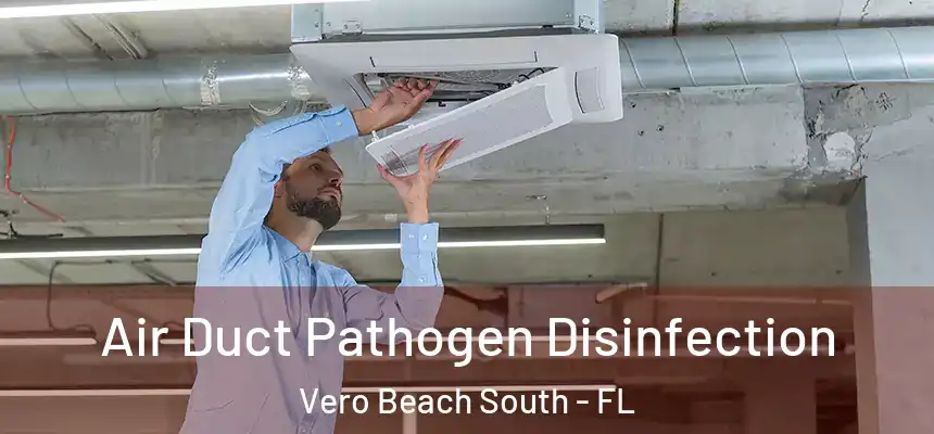 Air Duct Pathogen Disinfection Vero Beach South - FL