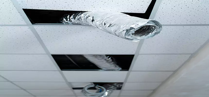 Our Air Duct Pet Hair Removal Services in Vero Beach South, FL