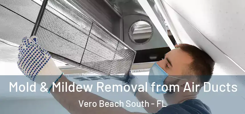 Mold & Mildew Removal from Air Ducts Vero Beach South - FL