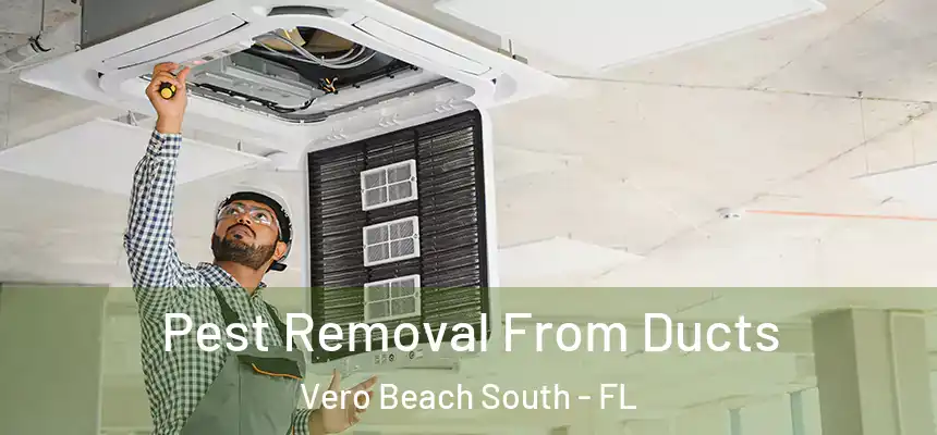 Pest Removal From Ducts Vero Beach South - FL