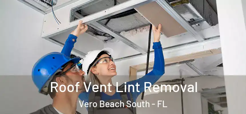 Roof Vent Lint Removal Vero Beach South - FL