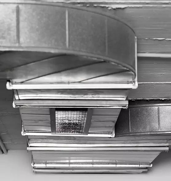 Professional Air Duct Pest Removal in Vero Beach South, FL